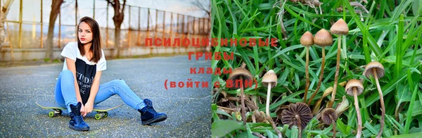 мдма Бородино