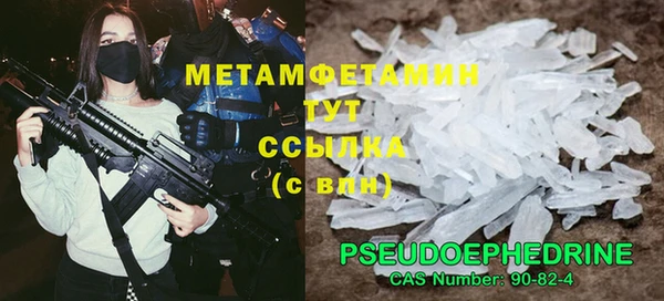 гидра Богородицк
